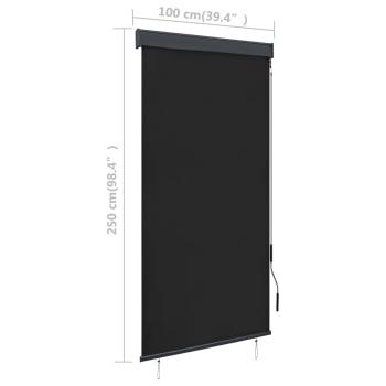 Außenrollo 100 x 250 cm Anthrazit