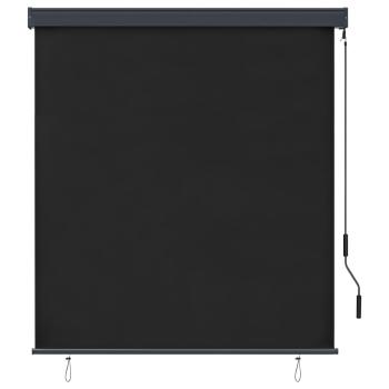 Außenrollo 140x250 cm Anthrazit
