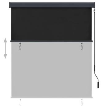Außenrollo 140x250 cm Anthrazit