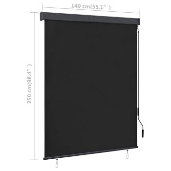 Außenrollo 140x250 cm Anthrazit