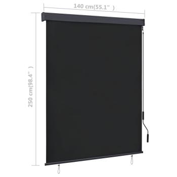 Außenrollo 140x250 cm Anthrazit