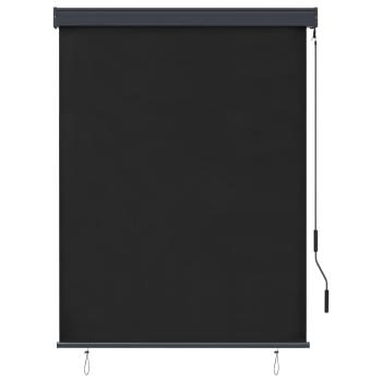 Außenrollo 120 x 250 cm Anthrazit