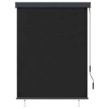 Außenrollo 120 x 250 cm Anthrazit