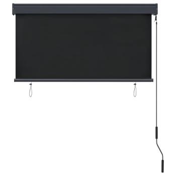 Außenrollo 120 x 250 cm Anthrazit