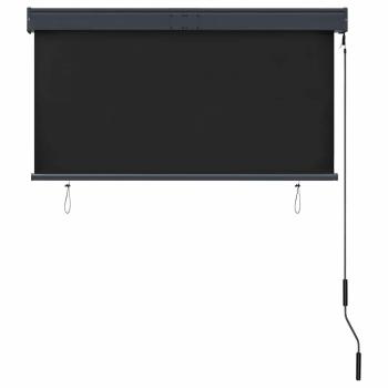 Außenrollo 120 x 250 cm Anthrazit