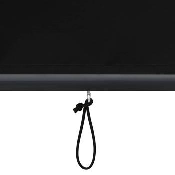 Außenrollo 120 x 250 cm Anthrazit