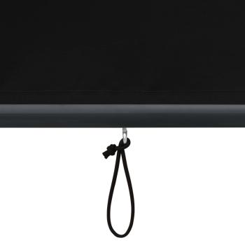Außenrollo 120 x 250 cm Anthrazit