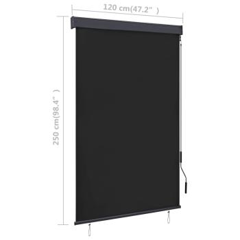 Außenrollo 120 x 250 cm Anthrazit
