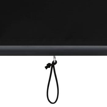 Außenrollo 120 x 250 cm Anthrazit