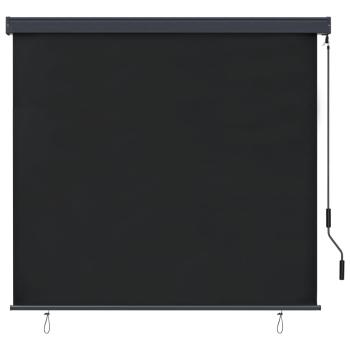 Außenrollo 160x250 cm Anthrazit