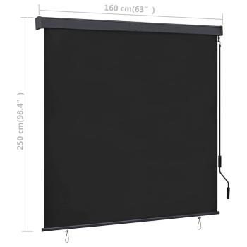 Außenrollo 160x250 cm Anthrazit