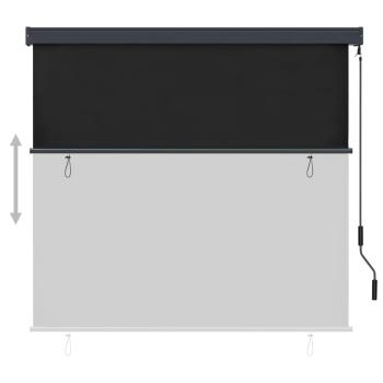 Außenrollo 160x250 cm Anthrazit
