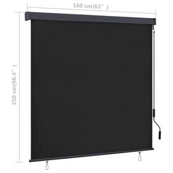 Außenrollo 160x250 cm Anthrazit