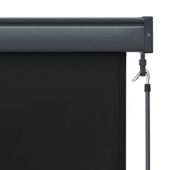 Außenrollo 160x250 cm Anthrazit