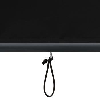 Außenrollo 160x250 cm Anthrazit