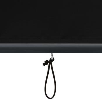 Außenrollo 60 x 250 cm Anthrazit