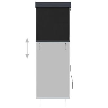 Außenrollo 60 x 250 cm Anthrazit