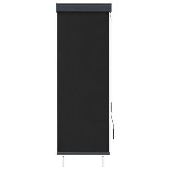 Außenrollo 60 x 250 cm Anthrazit