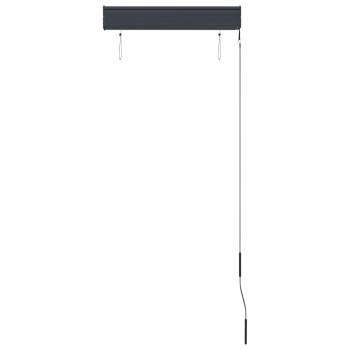 Außenrollo 60 x 250 cm Anthrazit