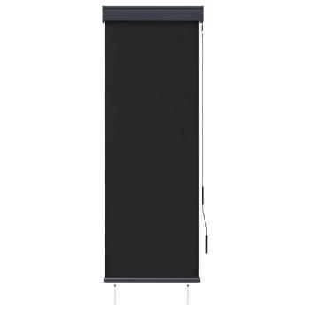 Außenrollo 60 x 250 cm Anthrazit