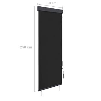 Außenrollo 60 x 250 cm Anthrazit