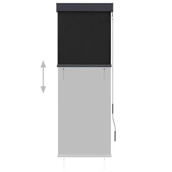 Außenrollo 60 x 250 cm Anthrazit