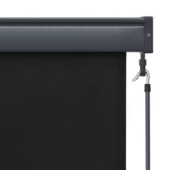 Außenrollo 60 x 250 cm Anthrazit