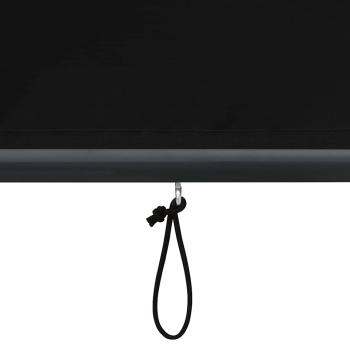 Außenrollo 60 x 250 cm Anthrazit