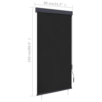 Außenrollo 80 x 250 cm Anthrazit