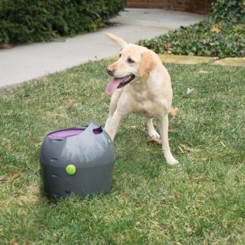 PetSafe Automatischer Ballwerfer für Haustiere 9 m Grau und Lila
