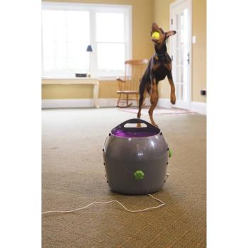 PetSafe Automatischer Ballwerfer für Haustiere 9 m Grau und Lila