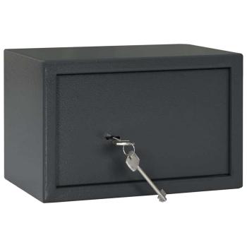 Safe Box mit Schlüssel Schloss Dunkelgrau 20x31x20 cm Stahl