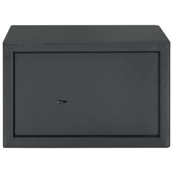 Safe Box mit Schlüssel Schloss Dunkelgrau 20x31x20 cm Stahl