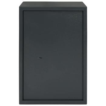 Safe Box mit Schlüsselschloss Dunkelgrau 31x35x50 cm Stahl