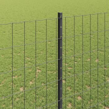 Euro Zaun mit 10 U-Pfosten Grau 1,6x10 m Stahl
