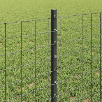 Eurozaun mit 22 U-Pfosten Grau 0,6x50 m Stahl