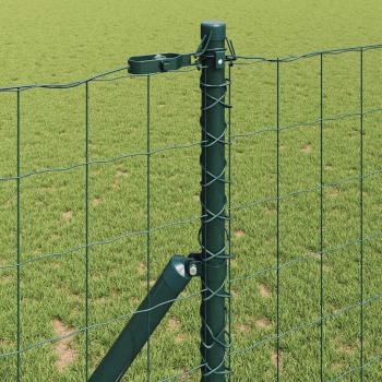 Euro-Zaun mit 13 Pfosten 1x25 m Galvanisierter Stahl Grün