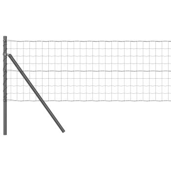 Euro Zaun mit 13 Pfosten 0.4x50 m Verzinkter Stahl Grau