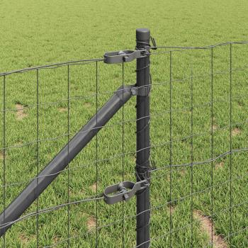 Eurozaun mit 13 Stachelpfosten 0,4x50 m verzinkter Stahl grau