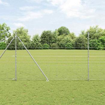 ARDEBO.de - Weidezaun 1,6x25 m galvanisierter Stahl, Zaunpfähle mit Spike 13 Stück Ø32 mm 180 cm galvanisierter Stahl