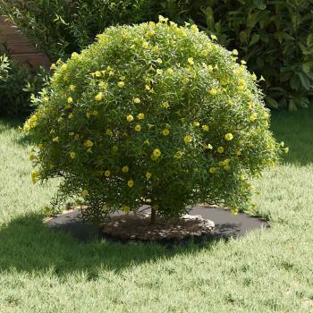 Metallpflanzgefäß Schwarz Metall 60 x 60 x 1.3 cm