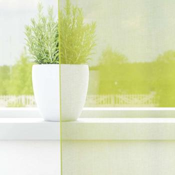 Voile Vorhänge mit Stangentaschen 2 Stk. Apfelgrün