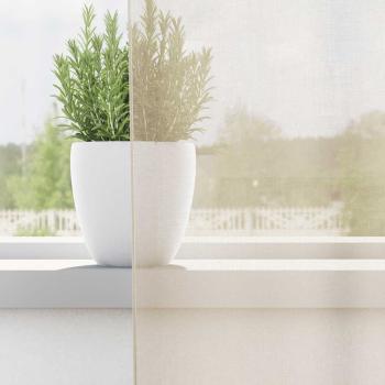 Voile Vorhänge mit Lasche 2 Stk. Creme