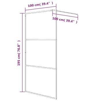 Duschwand für Begehbare Dusche Silbern 100x195 cm ESG-Klarglas