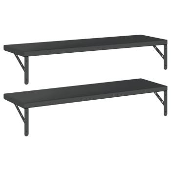 Wandregale 2 Stk. 100x30 cm Schwarz Edelstahl