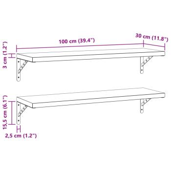 Wandregale 2 Stk. 100x30 cm Schwarz Edelstahl