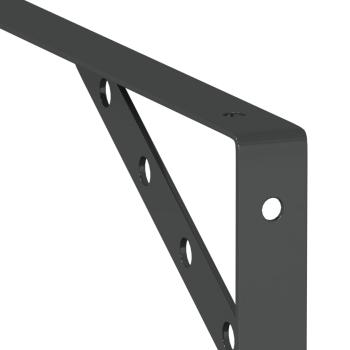 Regalträger 4 Stk. 30x2,5x15,5 cm Schwarz Edelstahl