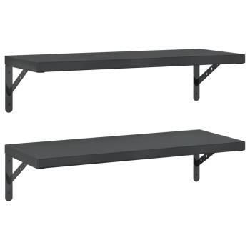 Wandregale 2 Stk. 75x30 cm Schwarz Edelstahl