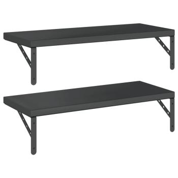Wandregale 2 Stk. 75x30 cm Schwarz Edelstahl