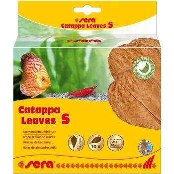 ARDEBO.de sera Catappa Leaves S 10-15 cm (10 St)